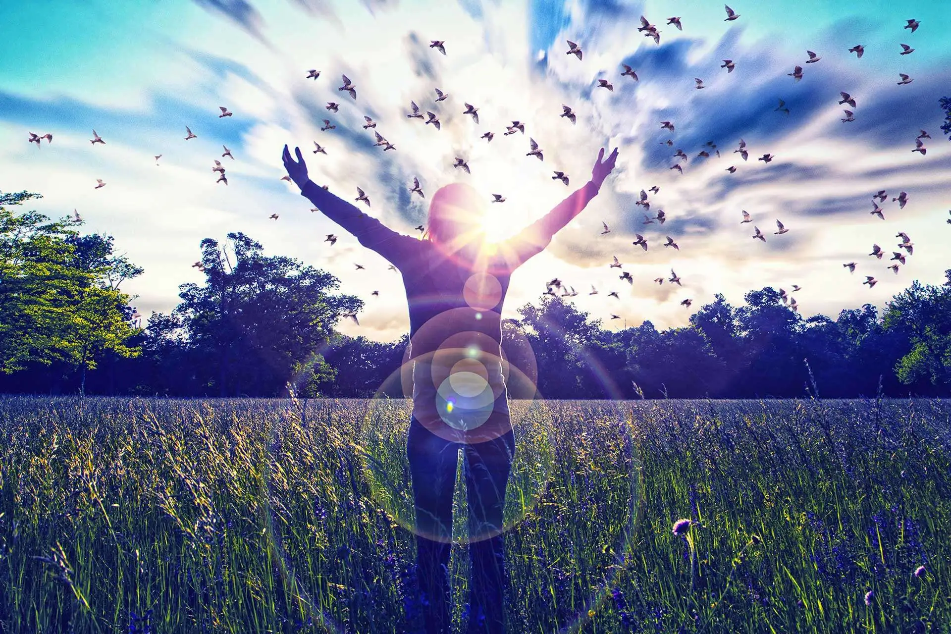 Woman standing in a sunlit field with arms raised and birds flying free overhead, representing the freedom and release found through Cincinnati hypnotherapy with Mary Kacaba